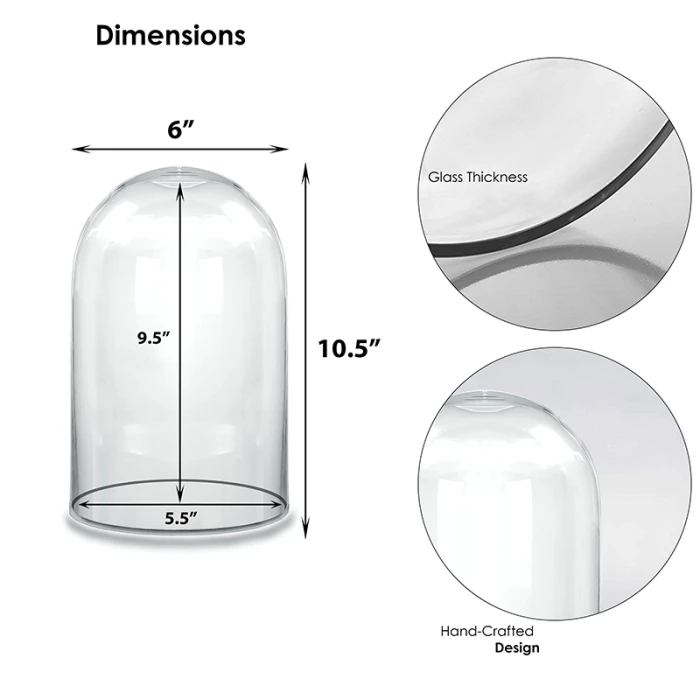 Glass Cloche Display Dome, H-10.5" D-6" (Wholesale 8 PCS/Case) 2 Glass Cloche Display Dome, H-10.5" D-6" (Wholesale 8 PCS/Case) - Image 2