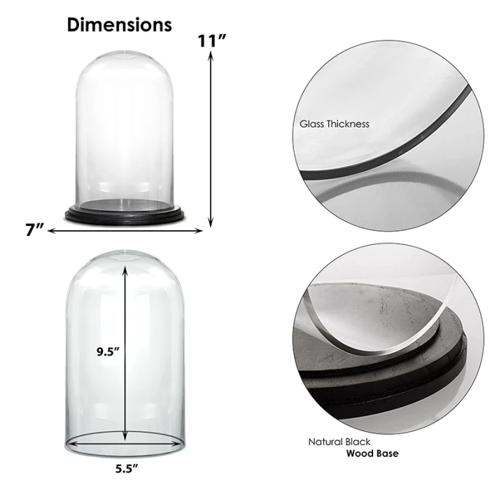 Glass Cloche Display Dome With Black Wood Base, H-11" D-7" (Wholesale 4 PCS/Case) 2 Glass Cloche Display Dome With Black Wood Base, H-11" D-7" (Wholesale 4 PCS/Case) - Image 2