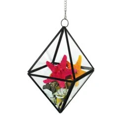 Hanging Geometric Diamond Terrarium, H-8" D-6" (Wholesale 6 PCS/Case) 7 Hanging Geometric Diamond Terrarium, H-8" D-6" (Wholesale 6 PCS/Case) -Home Decoration Discount geometric terrarium glass mfgp060608