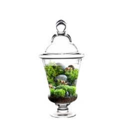 Case Of 4 - Glass Candy Buffet Apothecary Jar, H-17" D-6.5"