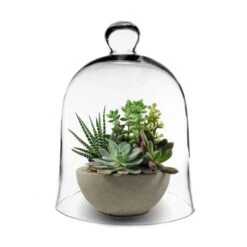 Glass Bell Dome Cloche, H-16" D-12" (Wholesale 2 PCS/Case) 7 Glass Bell Dome Cloche, H-16" D-12" (Wholesale 2 PCS/Case) -Home Decoration Discount glass cloche bell terrarium with tray gcl101 16 2
