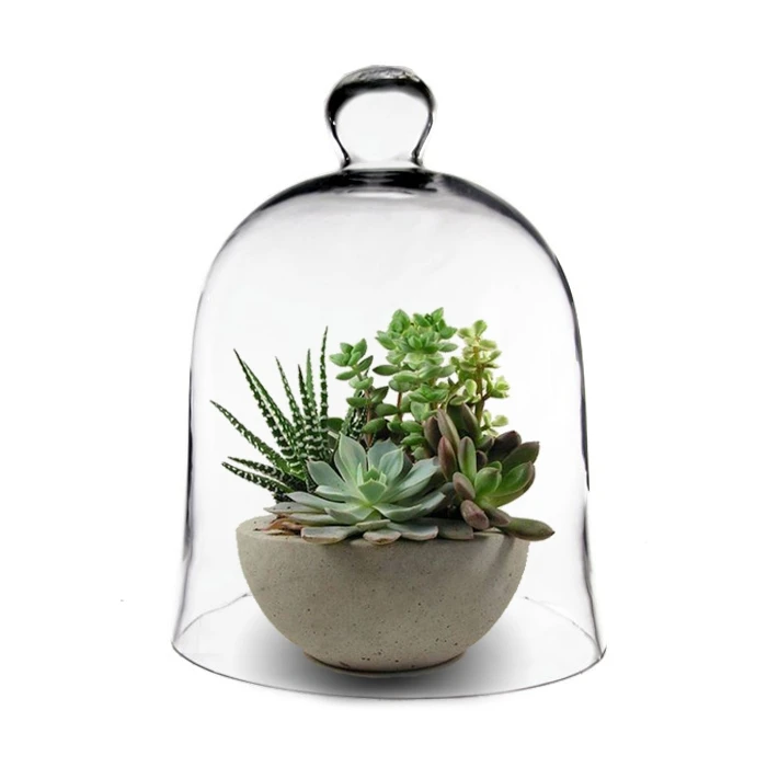 Glass Bell Dome Cloche, H-16" D-12" (Wholesale 2 PCS/Case) 4 Glass Bell Dome Cloche, H-16" D-12" (Wholesale 2 PCS/Case) - Image 4