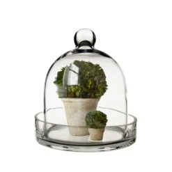 Glass Bell Dome Cloche With Glass Tray Base, H-8" D-7" (Wholesale 4 PCS/Case) 9 Glass Bell Dome Cloche With Glass Tray Base, H-8" D-7" (Wholesale 4 PCS/Case) -Home Decoration Discount glass cloche bell terrarium with tray gcl110 08 1
