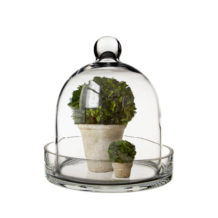 Glass Bell Dome Cloche With Glass Tray Base, H-8" D-7" (Wholesale 4 PCS/Case) 5 Glass Bell Dome Cloche With Glass Tray Base, H-8" D-7" (Wholesale 4 PCS/Case) - Image 5