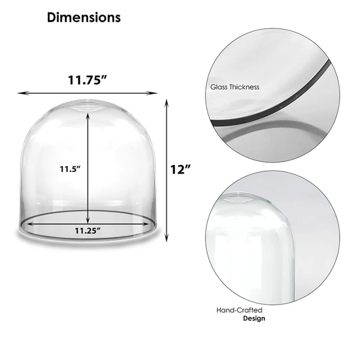 Glass Cloche Display Dome, H-12" D-11.75" (Wholesale 2 PCS/Case) 2 Glass Cloche Display Dome, H-12" D-11.75" (Wholesale 2 PCS/Case) - Image 2