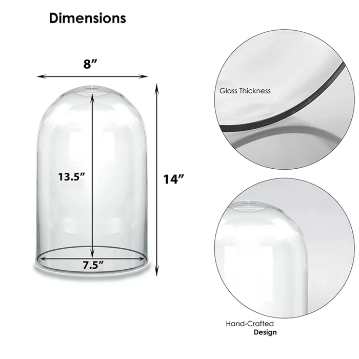 Glass Cloche Display Dome, H-14" D-8" (Wholesale 4 PCS/Case) 2 Glass Cloche Display Dome, H-14" D-8" (Wholesale 4 PCS/Case) - Image 2