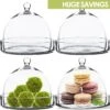 Glass Bell Dome Cloche With Glass Tray Base, H-7.5" D-8" (Wholesale 4 PCS/Case)