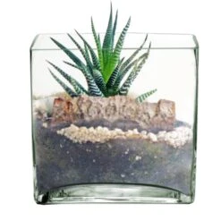 Glass Cube Vase, 8" X 8" X 8" (Wholesale 4 PCS/Case)