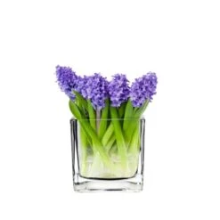 Glass Cube Vase, 4" X 4" X 4" (Wholesale 12 PCS/Case) 7 Glass Cube Vase, 4" X 4" X 4" (Wholesale 12 PCS/Case) -Home Decoration Discount glass cube vases gcb046