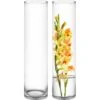 Glass Cylinder Vase, H-26" D-6" (Wholesale 4 PCS/Case)