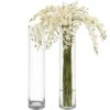 Case Of 4 - Glass Cylinder Vase, H-32" D-6"