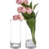 Case Of 6 - Glass Cylinder Vase, H-14" D-5"