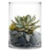 Glass Cylinder Vase H-8" D-6" Clear (Wholesale Pack Of 8)