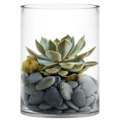 Glass Cylinder Vase H-8" D-6" Clear (Wholesale Pack Of 8)