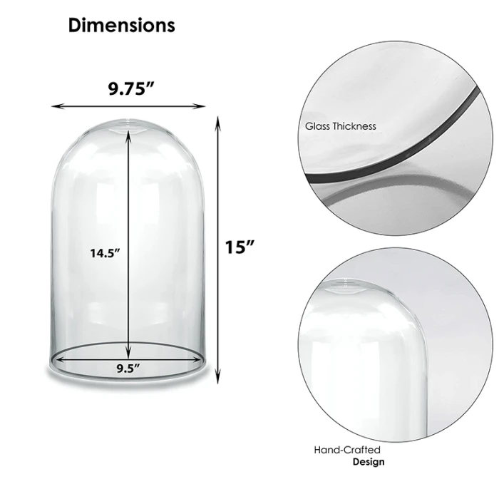 Glass Cloche Display Dome, H-15" D-9.75" (Wholesale 2 PCS/Case) 2 Glass Cloche Display Dome, H-15" D-9.75" (Wholesale 2 PCS/Case) - Image 2