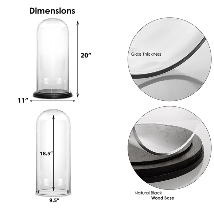 Glass Cloche Display Dome With Black Wood Base, H-20" D-11" (Wholesale 2 PCS/Case) 2 Glass Cloche Display Dome With Black Wood Base, H-20" D-11" (Wholesale 2 PCS/Case) - Image 2