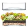 Glass Square Vase, 10" X 10" X 3.25" (Wholesale 4 PCS/Case)