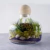 Glass Terrarium Vase With Wood Ball Stopper, H-12" D-10.5" (Wholesale 4 PCS/Case)