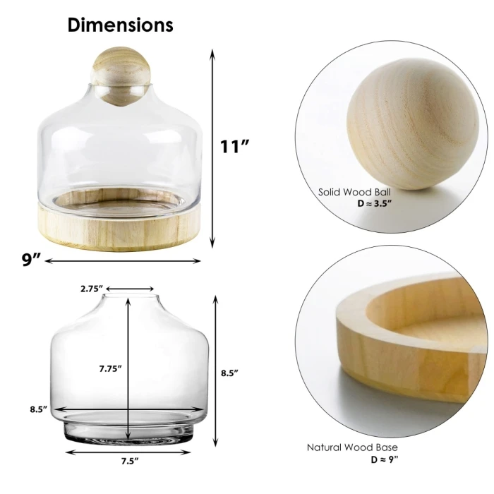 Glass Terrarium Vase With Wood Base And Stopper, H-11.5" D-9" (Wholesale 4 PCS/Case) 2 Glass Terrarium Vase With Wood Base And Stopper, H-11.5" D-9" (Wholesale 4 PCS/Case) - Image 2
