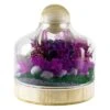 Glass Terrarium Vase With Wood Base And Stopper, H-11.5" D-9" (Wholesale 4 PCS/Case)