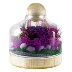 Glass Terrarium Vase With Wood Base And Stopper, H-11.5" D-9" (Wholesale 4 PCS/Case)