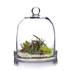 Glass Bell Dome Cloche With Glass Tray Base, H-10.5" D-9" (Wholesale 2 PCS/Case)