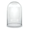 Glass Cloche Display Dome, H-15" D-9.75" (Wholesale 2 PCS/Case)