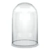 Glass Cloche Display Dome, H-19.5" D-11.75" (Wholesale 2 PCS/Case)