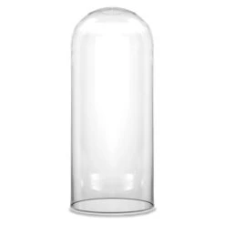 Glass Cloche Display Dome, H-14" D-6" (Wholesale 4 PCS/Case)
