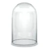 Glass Cloche Display Dome, H-10.5" D-6" (Wholesale 8 PCS/Case)