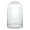 Glass Cloche Display Dome, H-14" D-8" (Wholesale 4 PCS/Case)