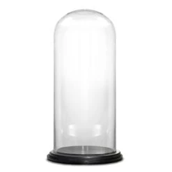 Glass Cloche Display Dome With Black Wood Base, H-20" D-11" (Wholesale 2 PCS/Case)