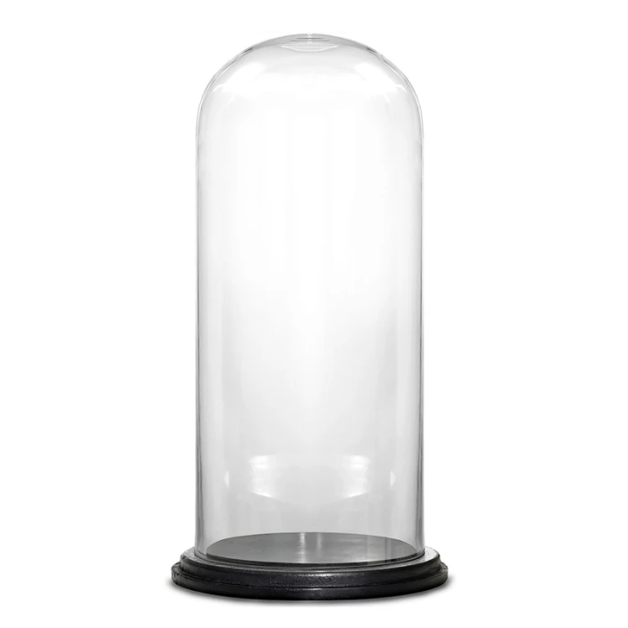 Glass Cloche Display Dome With Black Wood Base, H-20" D-11" (Wholesale 2 PCS/Case) 1 Glass Cloche Display Dome With Black Wood Base, H-20" D-11" (Wholesale 2 PCS/Case)