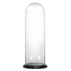 Glass Cloche Display Dome With Black Wood Base, H-29" D-11" (Wholesale 2 PCS/Case)