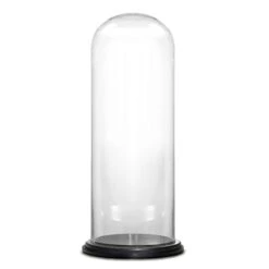 Glass Cloche Display Dome With Black Wood Base, H-28.5" D-13" (Wholesale 2 PCS/Case)