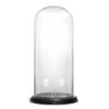 Glass Cloche Display Dome With Black Wood Base, H-15" D-7" (Wholesale 4 PCS/Case)