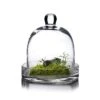 Glass Bell Dome Cloche With Glass Tray Base, H-8" D-7" (Wholesale 4 PCS/Case)