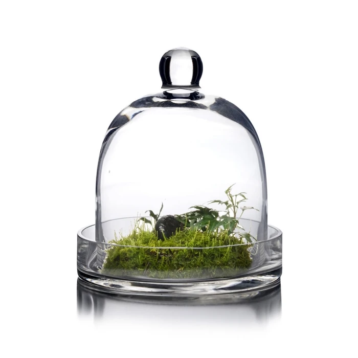 Glass Bell Dome Cloche With Glass Tray Base, H-8" D-7" (Wholesale 4 PCS/Case) 1 Glass Bell Dome Cloche With Glass Tray Base, H-8" D-7" (Wholesale 4 PCS/Case)