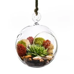 Case Of 48 - Glass Hanging Orb Plant Terrarium Tealight Candle Holder, H-4.5" D-4"