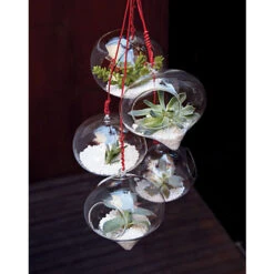 5" X 6" Rope Hanging Terrarium - 24 Pieces 14 5" X 6" Rope Hanging Terrarium - 24 Pieces -Home Decoration Discount hanging glass terrarium2 13594.1463580937.1280.1280
