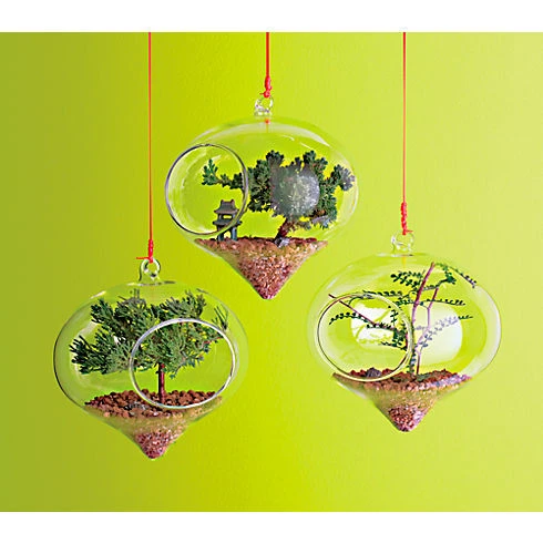 5" X 6" Rope Hanging Terrarium - 24 Pieces 6 5" X 6" Rope Hanging Terrarium - 24 Pieces - Image 6