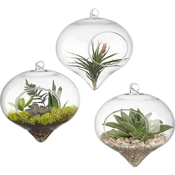 5" X 6" Rope Hanging Terrarium - 24 Pieces 3 5" X 6" Rope Hanging Terrarium - 24 Pieces - Image 3
