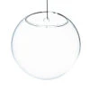 6" Diameter Glass Terrarium - 24 Pieces