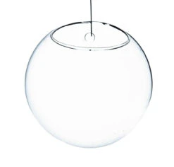 6" Diameter Glass Terrarium - 24 Pieces