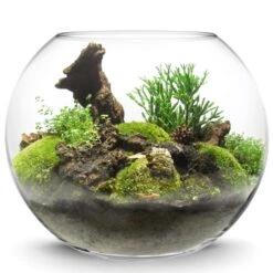 Glass Bubble Bowl, H-12" W-15.5" (Wholesale 2 PCS/Case) -Home Decoration Discount jumbo glass bubble bowl gbb106 1