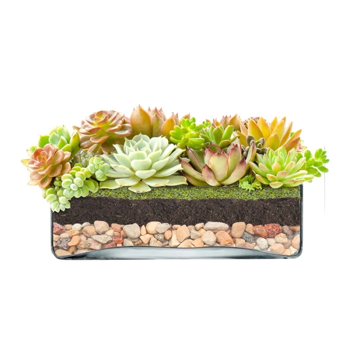 Glass Square Vase, 10" X 10" X 3.25" (Wholesale 4 PCS/Case) 5 Glass Square Vase, 10" X 10" X 3.25" (Wholesale 4 PCS/Case) - Image 5