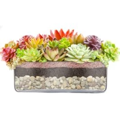 Glass Square Vase, 12" X 12" X 4" (Wholesale 3 PCS/Case) 7 Glass Square Vase, 12" X 12" X 4" (Wholesale 3 PCS/Case) -Home Decoration Discount large square vases centerpieces gcb110.succulent.800