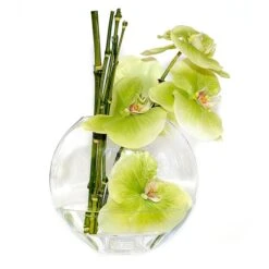 Glass Moon Shape Vase. H-7.5" Opening - 6.5" X 3.25" Oval Centerpieces -Home Decoration Discount moon shape vase gob107 5 1