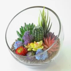Home Decoration Discount 29 Glass Slant Cut Pod Terrarium Bowl, H-6.25" W-6.75" (Wholesale 8 PCS/Case)