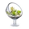 Glass Slant Cut Short Stem Satellite Terrarium Candle Holder, H-9" D-6.5" (Wholesale 6 PCS/Case)